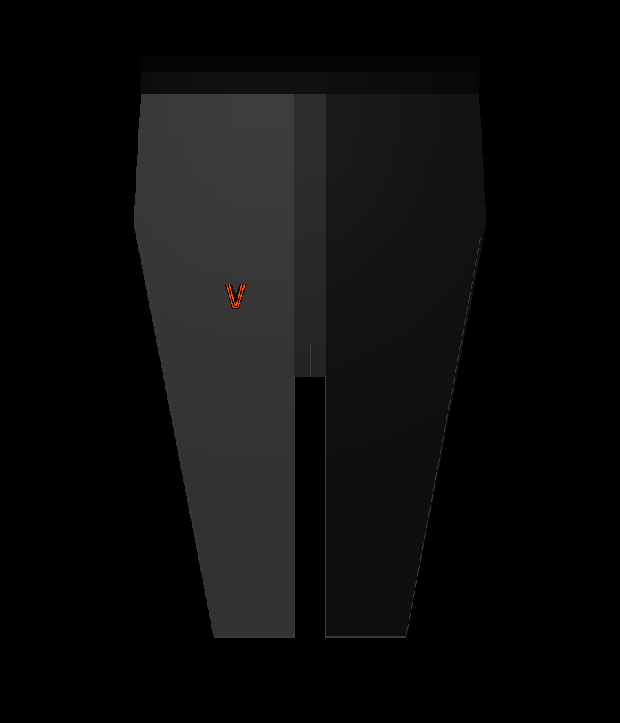 Athletic shorts with infrared V embroidered on leg