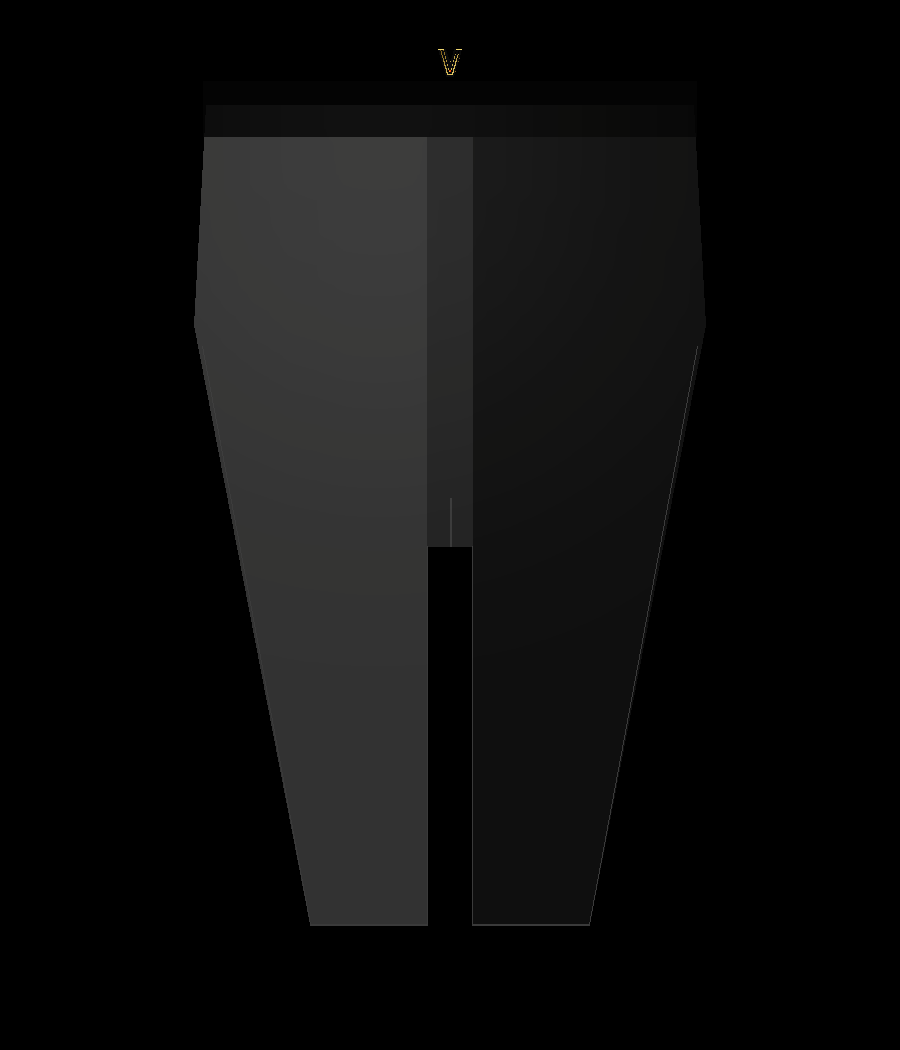 Athletic shorts with V embroidered centered on waistband